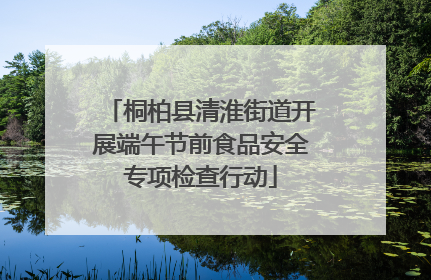 桐柏县清淮街道开展端午节前食品安全专项检查行动