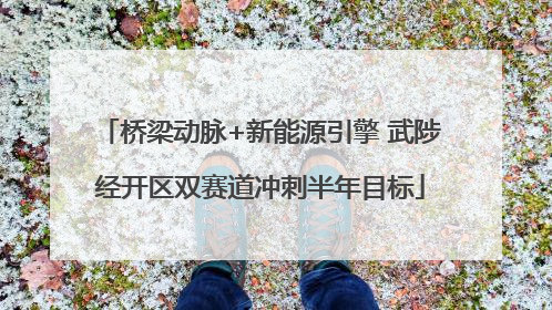 桥梁动脉+新能源引擎 武陟经开区双赛道冲刺半年目标