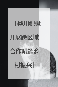 桦川积极开展跨区域合作赋能乡村振兴