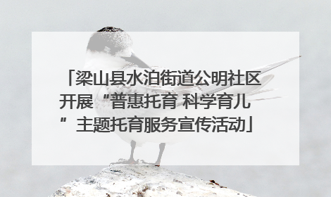 梁山县水泊街道公明社区开展“普惠托育 科学育儿”主题托育服务宣传活动