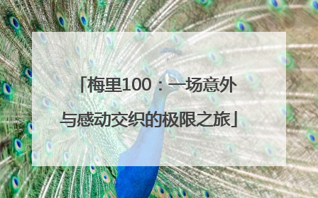 梅里100：一场意外与感动交织的极限之旅