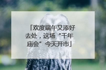 欢度端午又添好去处，这场“千年庙会”今天开市