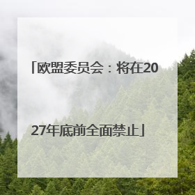 欧盟委员会：将在2027年底前全面禁止