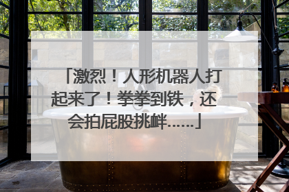 激烈！人形机器人打起来了！拳拳到铁，还会拍屁股挑衅……