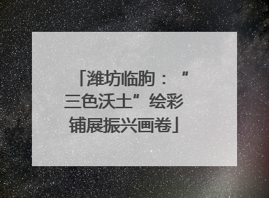 潍坊临朐：“三色沃土”绘彩铺展振兴画卷