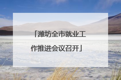 潍坊全市就业工作推进会议召开