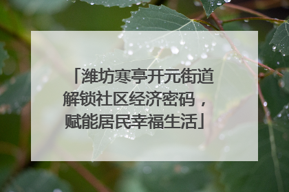 潍坊寒亭开元街道解锁社区经济密码，赋能居民幸福生活