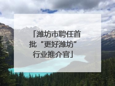 潍坊市聘任首批“更好潍坊”行业推介官