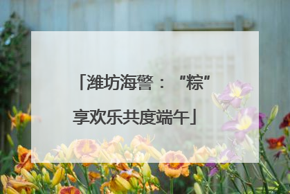 潍坊海警：“粽”享欢乐共度端午