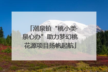潮泉镇“桃小美·泉心办”助力梦幻桃花源项目扬帆起航