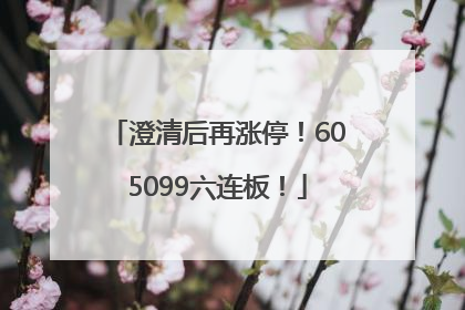 澄清后再涨停！605099六连板！