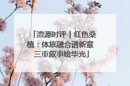 澧源时评｜红色桑植：体旅融合谱新章 三重叙事绘华光