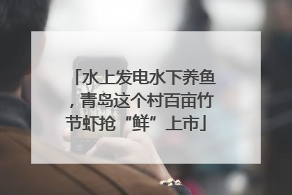 水上发电水下养鱼，青岛这个村百亩竹节虾抢“鲜”上市