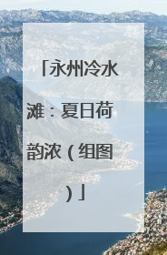 永州冷水滩：夏日荷韵浓（组图）