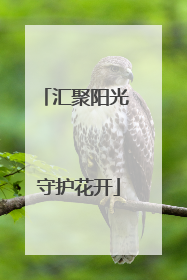 汇聚阳光 守护花开