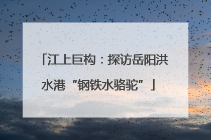 江上巨构：探访岳阳洪水港“钢铁水骆驼”