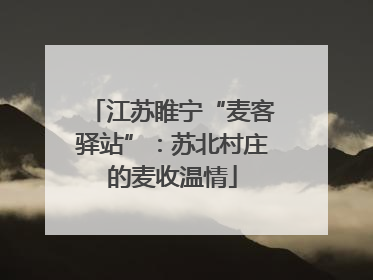 江苏睢宁“麦客驿站”：苏北村庄的麦收温情