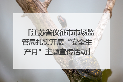 江苏省仪征市市场监管局扎实开展“安全生产月”主题宣传活动