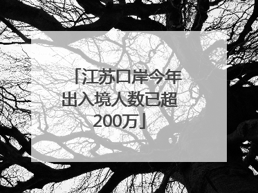 江苏口岸今年出入境人数已超200万