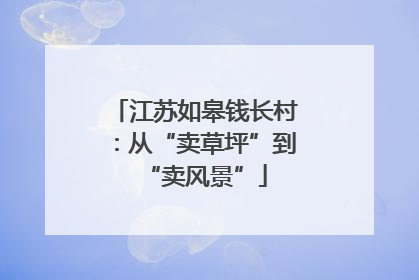 江苏如皋钱长村：从“卖草坪”到“卖风景”