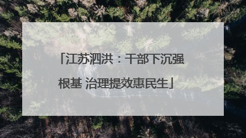 江苏泗洪：干部下沉强根基 治理提效惠民生