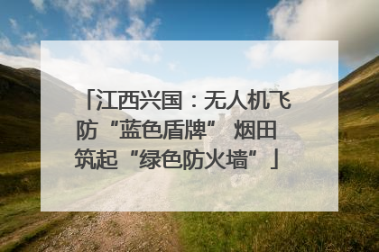 江西兴国：无人机飞防“蓝色盾牌” 烟田筑起“绿色防火墙”