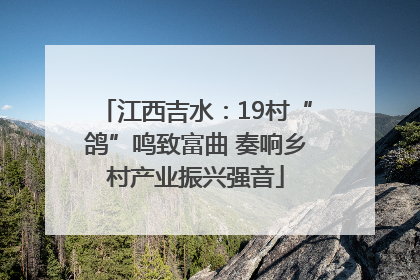 江西吉水：19村“鸽”鸣致富曲 奏响乡村产业振兴强音
