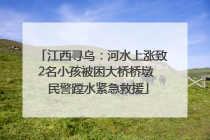 江西寻乌：河水上涨致2名小孩被困大桥桥墩 民警蹚水紧急救援