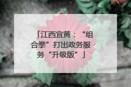 江西宜黄：“组合拳”打出政务服务“升级版”
