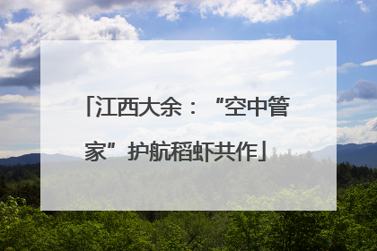 江西大余：“空中管家”护航稻虾共作