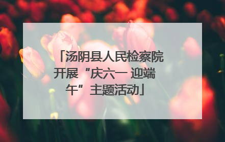 汤阴县人民检察院开展“庆六一 迎端午”主题活动