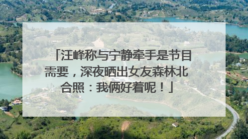汪峰称与宁静牵手是节目需要，深夜晒出女友森林北合照：我俩好着呢！