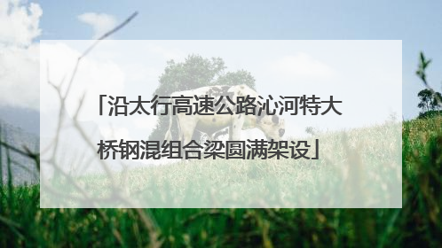 沿太行高速公路沁河特大桥钢混组合梁圆满架设