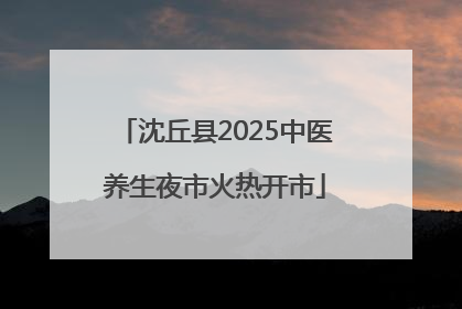 沈丘县2025中医养生夜市火热开市