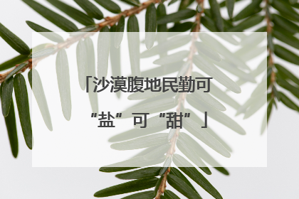沙漠腹地民勤可“盐”可“甜”