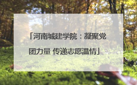河南城建学院：凝聚党团力量 传递志愿温情