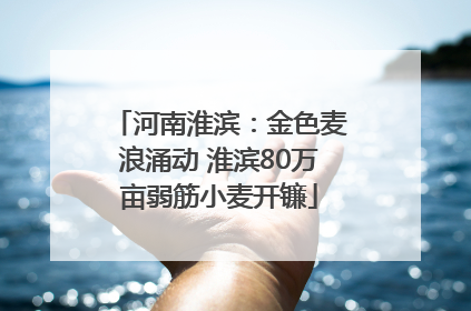 河南淮滨：金色麦浪涌动 淮滨80万亩弱筋小麦开镰