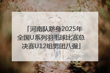 河南队跻身2025年全国U系列羽毛球比赛总决赛U12组男团八强