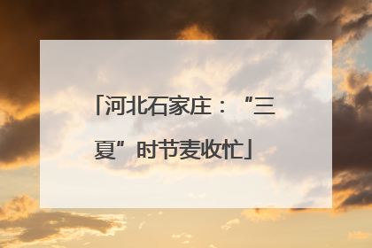 河北石家庄：“三夏”时节麦收忙