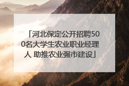 河北保定公开招聘500名大学生农业职业经理人 助推农业强市建设