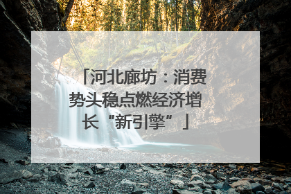 河北廊坊：消费势头稳点燃经济增长“新引擎”