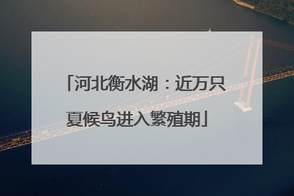 河北衡水湖：近万只夏候鸟进入繁殖期
