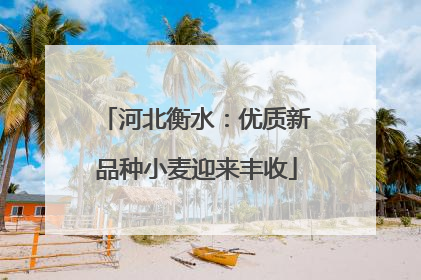 河北衡水：优质新品种小麦迎来丰收