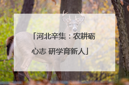 河北辛集：农耕砺心志 研学育新人