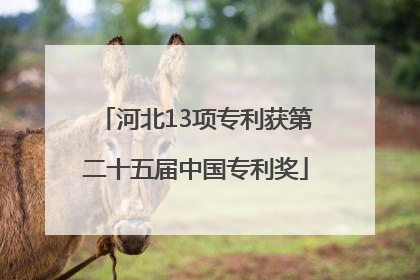 河北13项专利获第二十五届中国专利奖