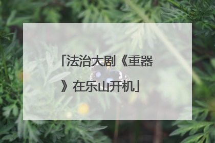 法治大剧《重器》在乐山开机