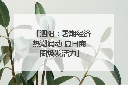 泗阳：暑期经济热潮涌动 夏日商圈焕发活力