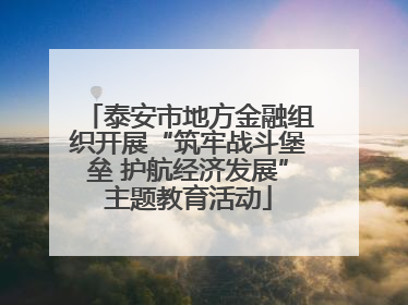 泰安市地方金融组织开展“筑牢战斗堡垒 护航经济发展”主题教育活动