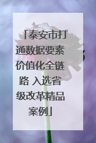 泰安市打通数据要素价值化全链路 入选省级改革精品案例