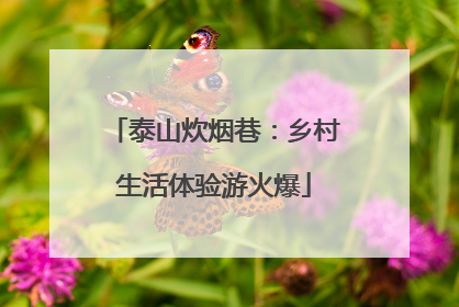 泰山炊烟巷：乡村生活体验游火爆